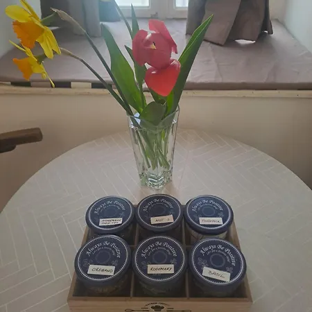 Cozy & Downtown 아파트