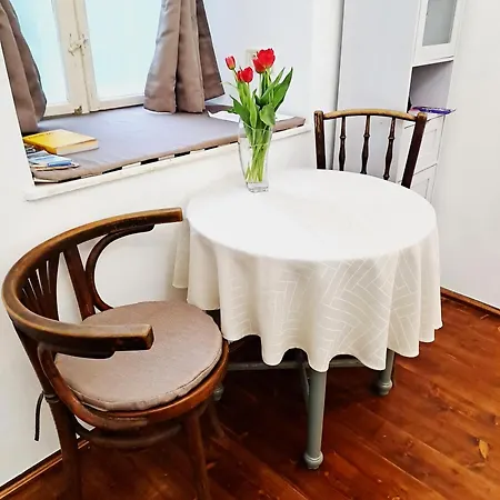 Apartmán Cozy & Downtown